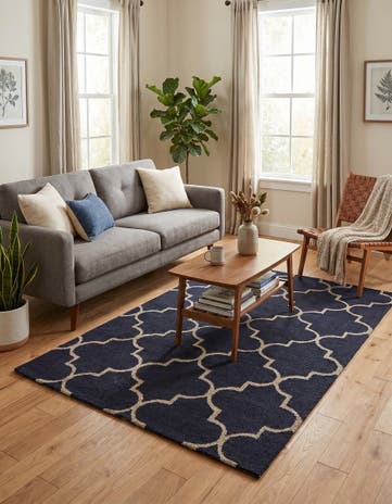 4' x 6' Luna Rug