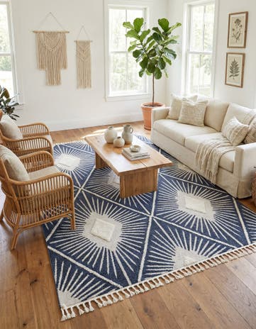 9' 6 x 14' 3 Boho Rug