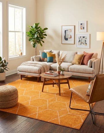 7' 10 x 10' Lattice Frieze Rug