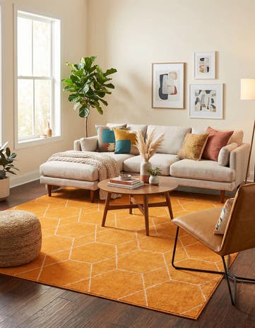 7' 10 x 10' Lattice Frieze Rug