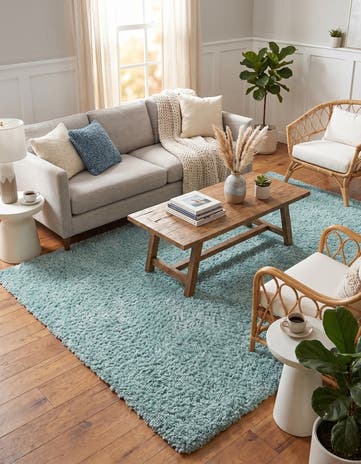 6' x 9' Zermatt Shag Rug