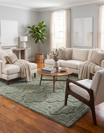 245cm x 305cm Trellis Shag Rug