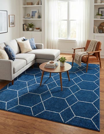 7' 10 x 10' Lattice Frieze Rug