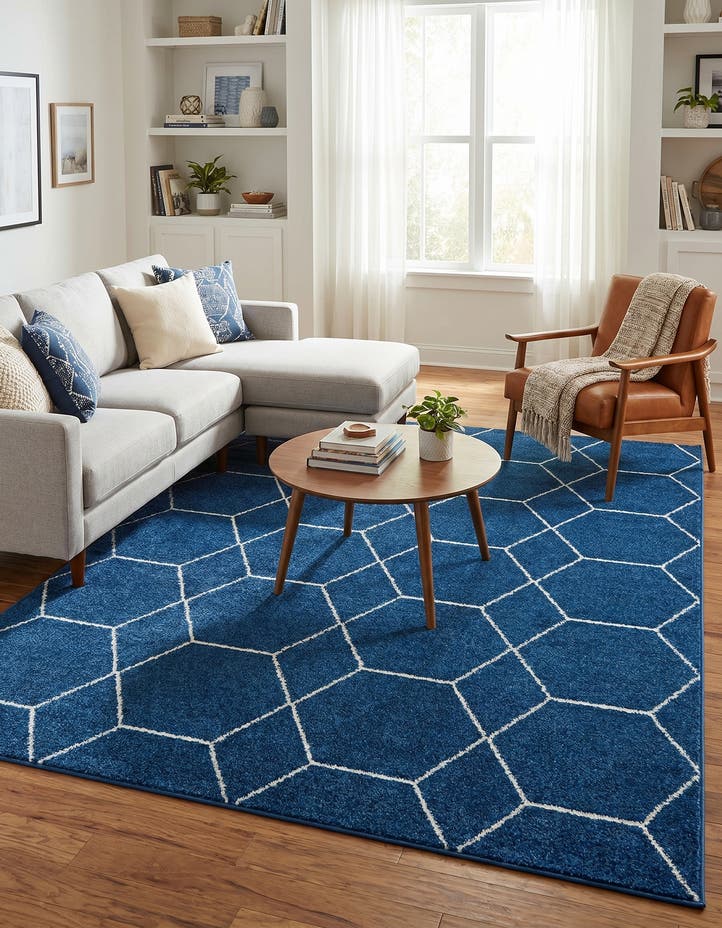 7' 10 x 10' Lattice Frieze Rug