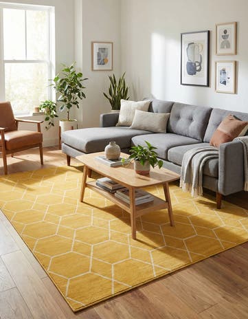 7' 10 x 11' Lattice Frieze Rug
