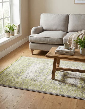 3' 3 x 5' 3 Modern Classical Rug
