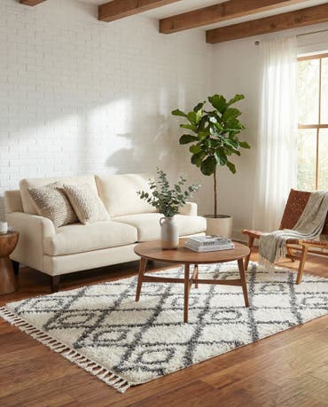  4' x 6' Zermatt Shag Rug