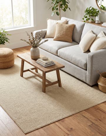 4' x 6' Monochromatic Bouclee Rug