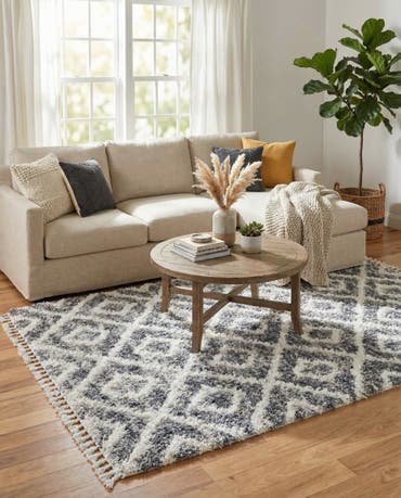  5' x 8' Athena Shag Rug