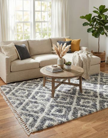 5' x 8' Athena Shag Rug