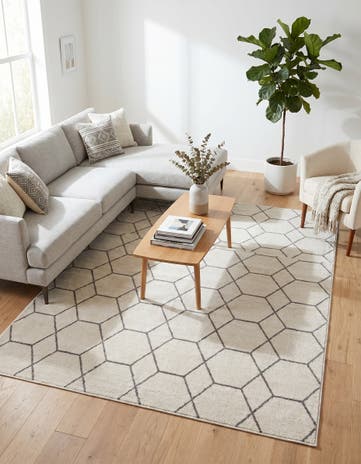 7' 10 x 10' Lattice Frieze Rug