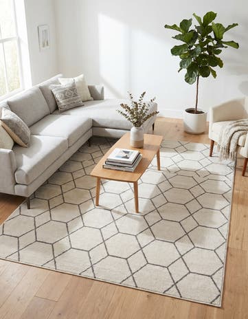 7' 10 x 10' Lattice Frieze Rug