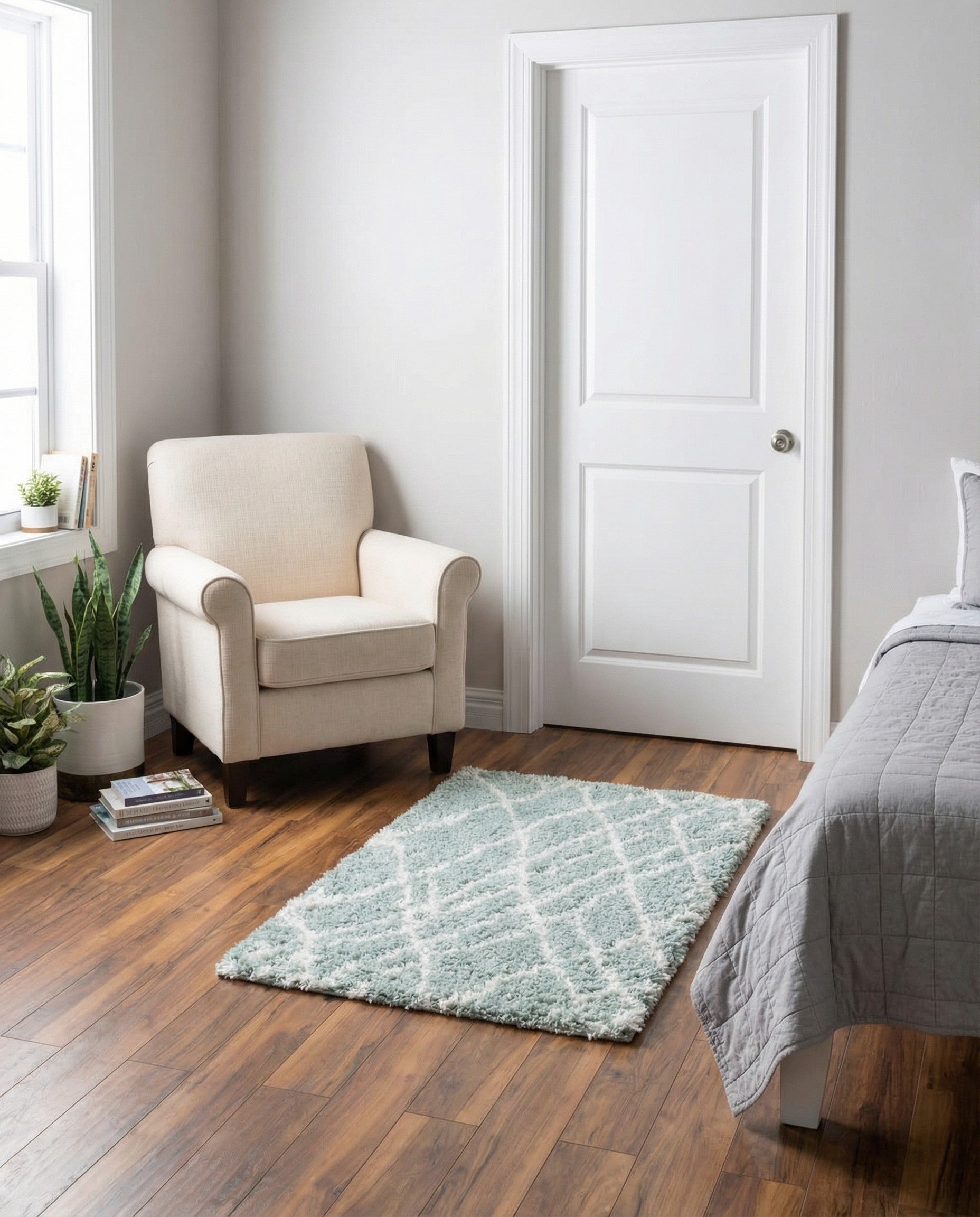 2' x 3' Soft Touch Shag Rug