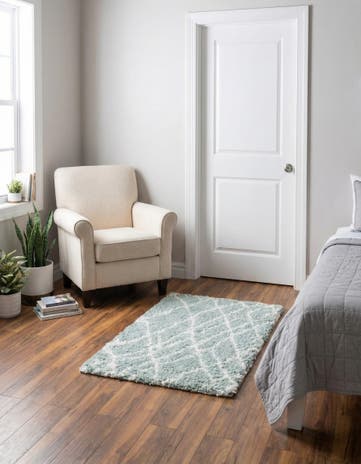 2' x 3' Soft Touch Shag Rug