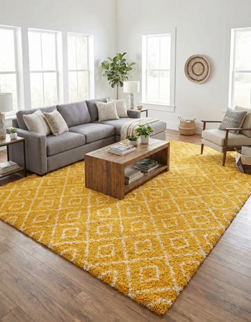10' 8 x 14' Trellis Shag Rug