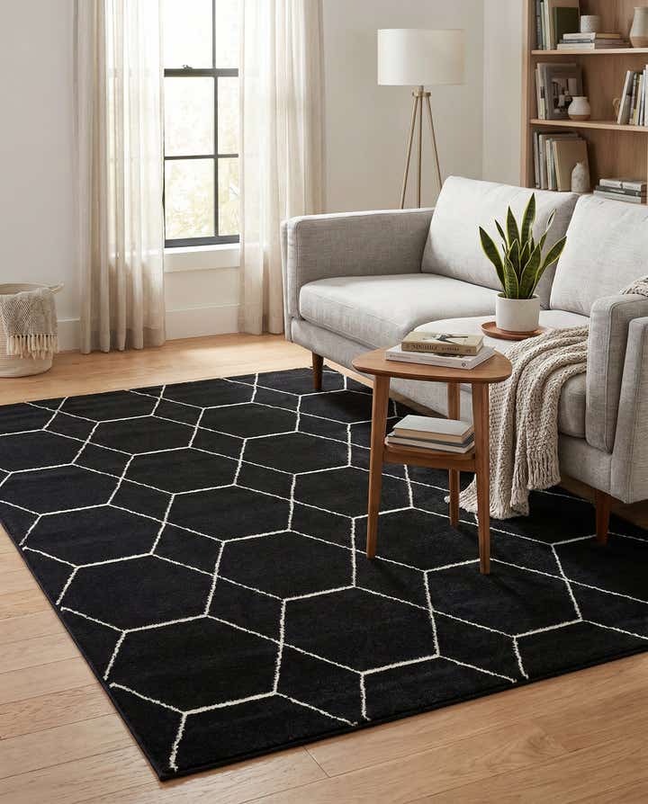 5' 3 x 8' Lattice Frieze Rug