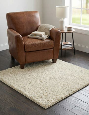 3' 3 x 3' 3 Everyday Shag Square Rug