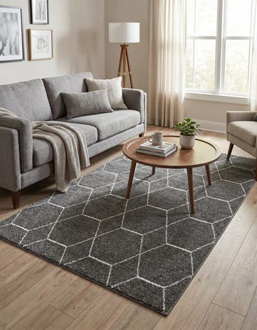 5' 3 x 8' Lattice Frieze Rug