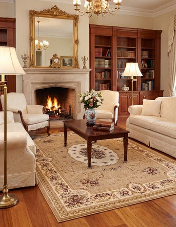 Tan Classic Aubusson Rug