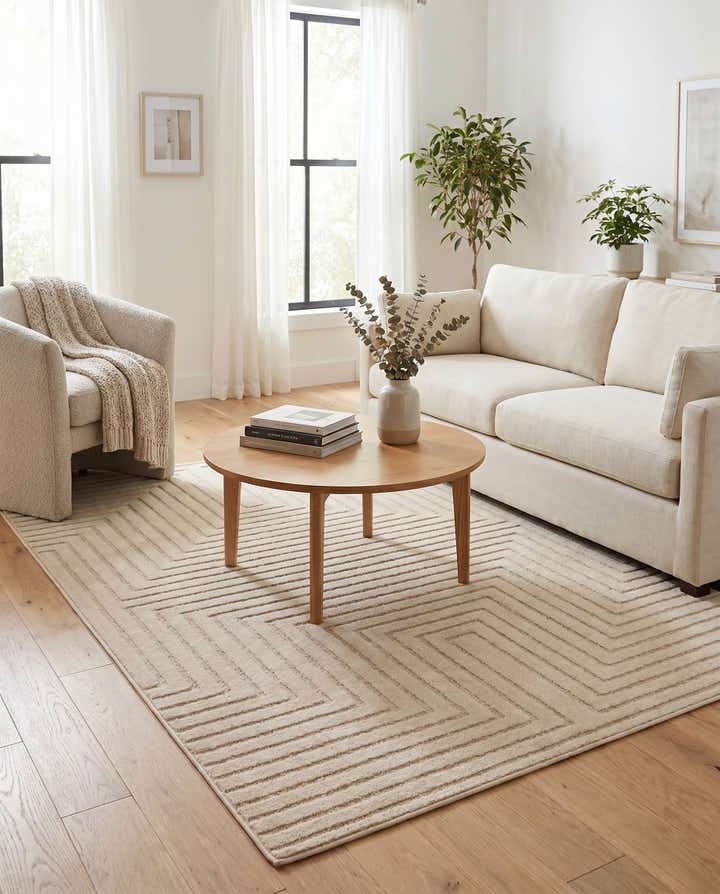 4' x 6' Contour Rug