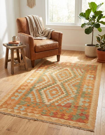 2' 10 x 4' 5 Hand Woven Kilim Waziri Wool Rug