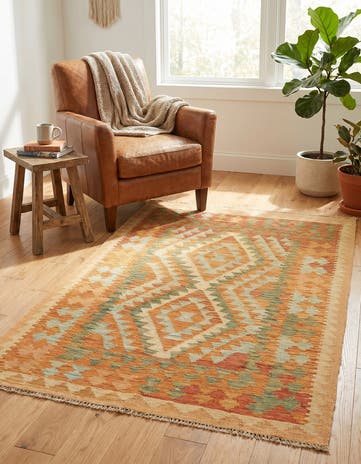 2' 10 x 4' 5 Hand Woven Kilim Waziri Wool Rug