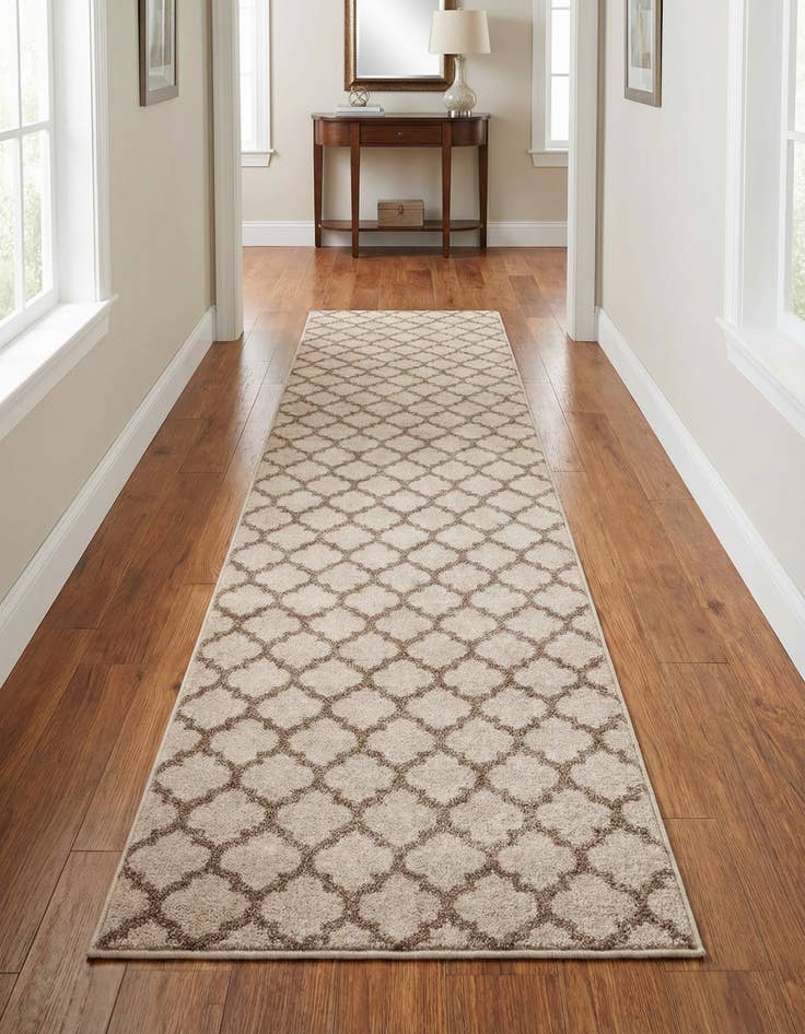 Detail image of 2' 7 x 10' Trellis Runner Rug