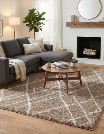 6' x 9' Soft Touch Shag Rug