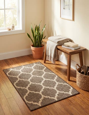 2' 4 x 3' Dunes Rug