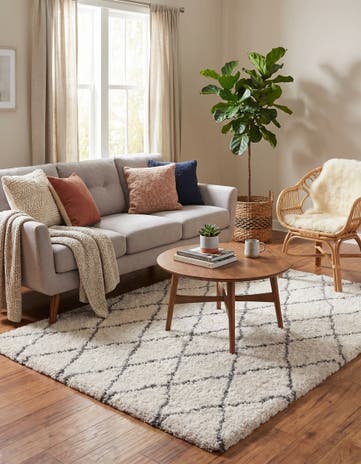 5' 3 x 7' Moroccan Shag Rug