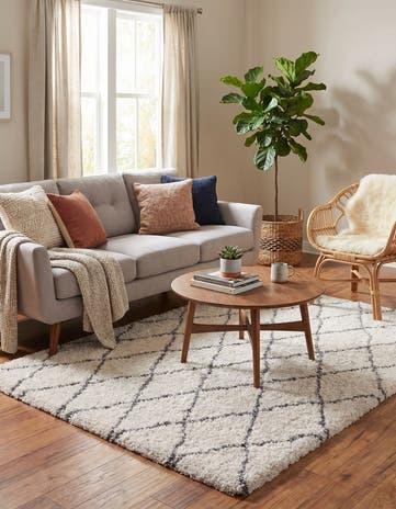 5' 3 x 7' Moroccan Shag Rug