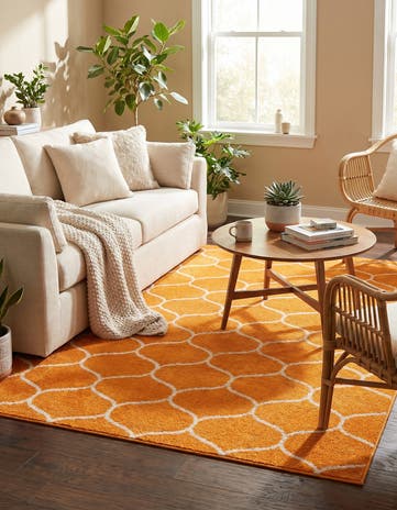 Orange Lattice Frieze Rug