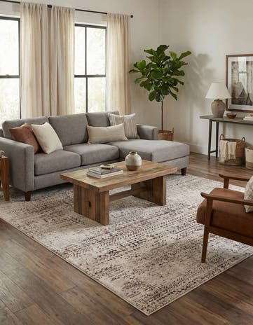 6' x 9' Hermitage Rug