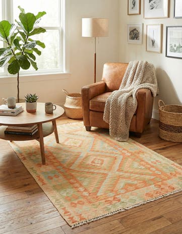 3' 2 x 4' 9 Hand Woven Kilim Waziri Wool Rug