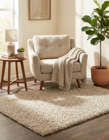 3' x 5' 3 Zermatt Shag Rug