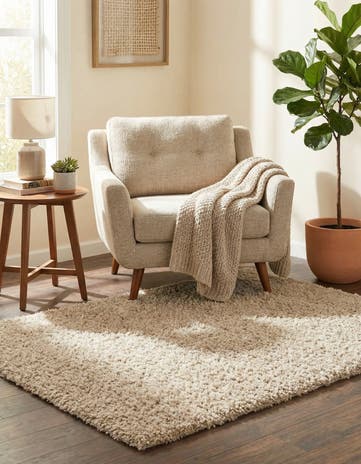 3' x 5' 3 Zermatt Shag Rug