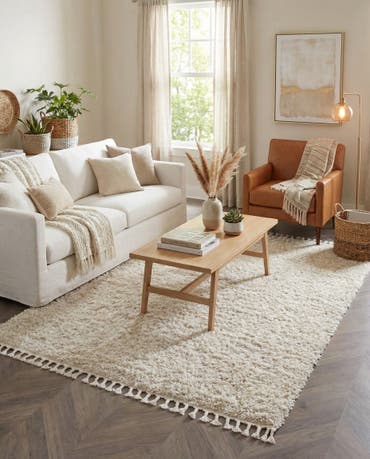  8' x 10' Athena Shag Rug