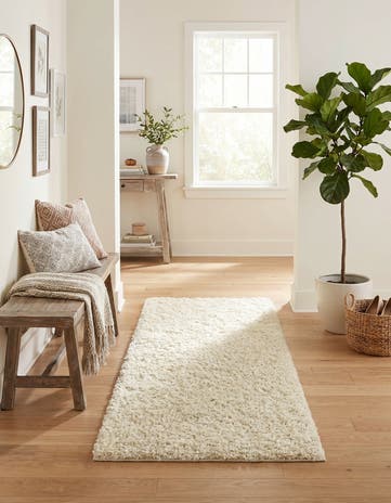 2' x 5' Solid Shag Runner Rug