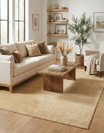 Beige and Cream Aakaar Rug