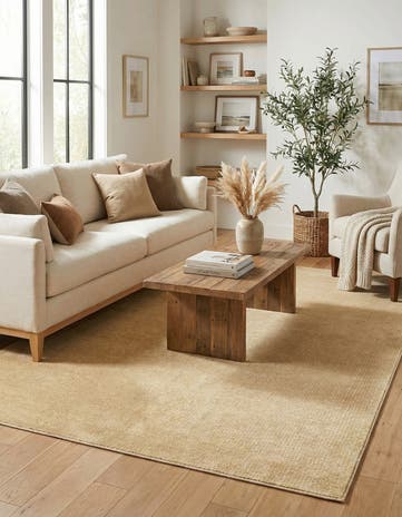Beige and Cream Aakaar Rug