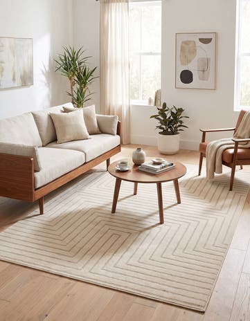 5' x 8' Contour Rug