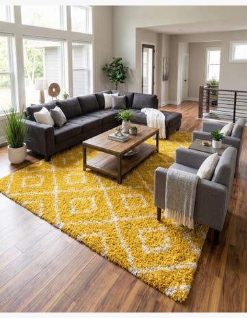 10' 8 x 14' Trellis Shag Rug