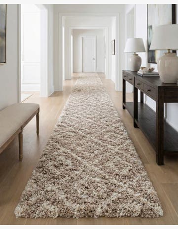 3' 3 x 16' 5 Trellis Shag Runner Rug