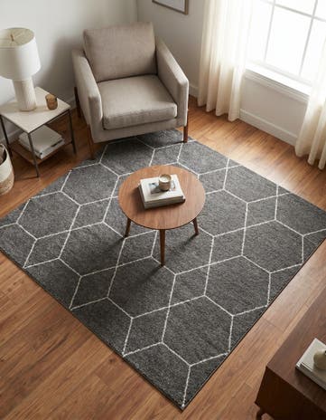 5' 3 x 5' 3 Lattice Frieze Square Rug
