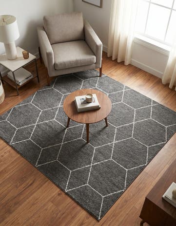 5' 3 x 5' 3 Lattice Frieze Square Rug