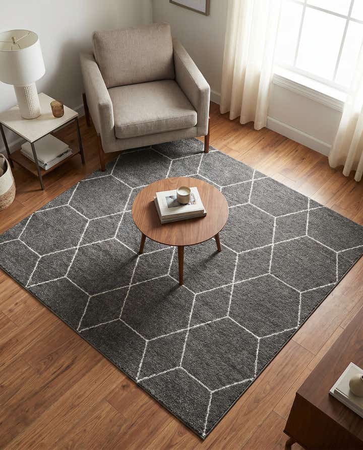 5' 3 x 5' 3 Lattice Frieze Square Rug
