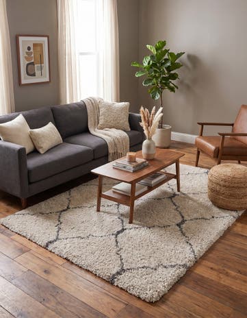 5' 3 x 7' Moroccan Shag Rug