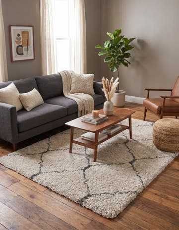 5' 3 x 7' Moroccan Shag Rug