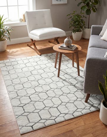 4' x 6' Lattice Trellis Rug