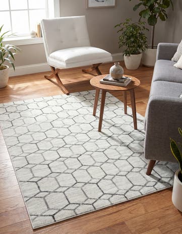 4' x 6' Lattice Trellis Rug